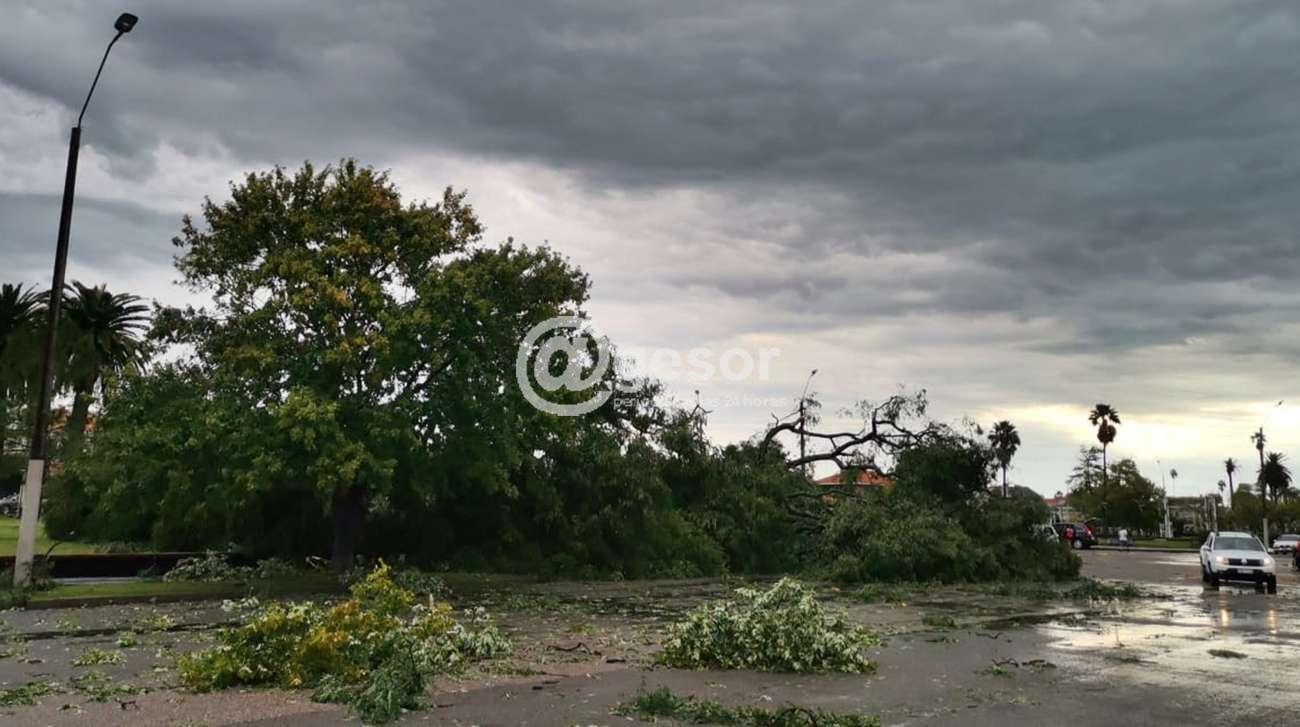Image6